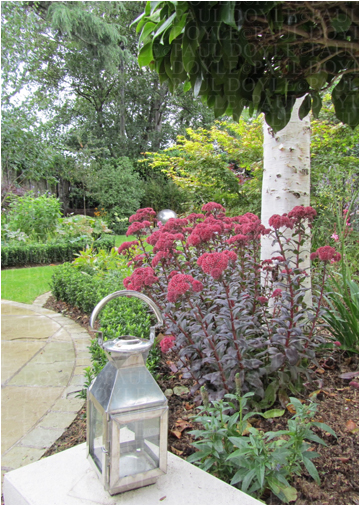 Dartry Garden
